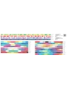 Chacott FIG Gradation ribbon 5 m